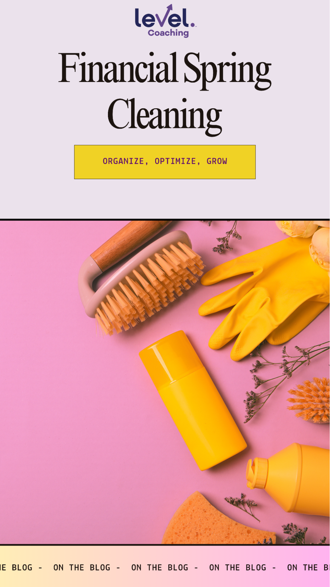 Financial Spring Cleaning: Organize, Optimize, Grow – Level Coaching
